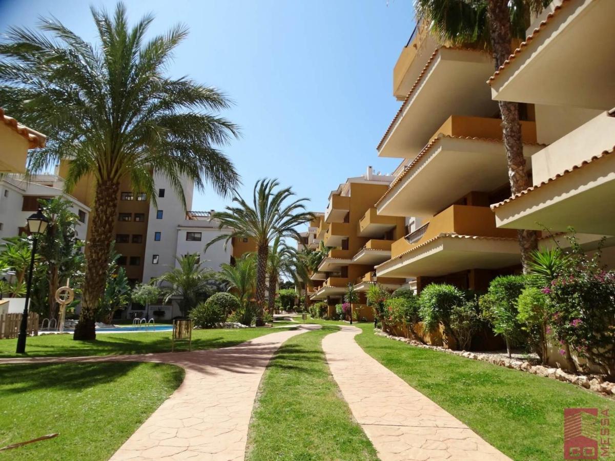 Apartment Eleonor - Punta Prima Torrevieja Exterior foto