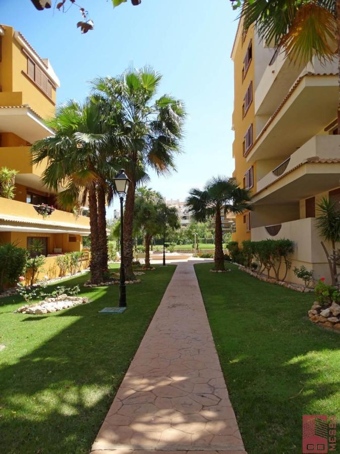 Apartment Eleonor - Punta Prima Torrevieja Exterior foto